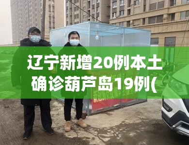 辽宁新增20例本土确诊葫芦岛19例(葫芦岛当前病毒)