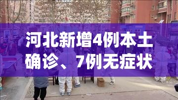 河北新增4例本土确诊、7例无症状(河北最新感染病)