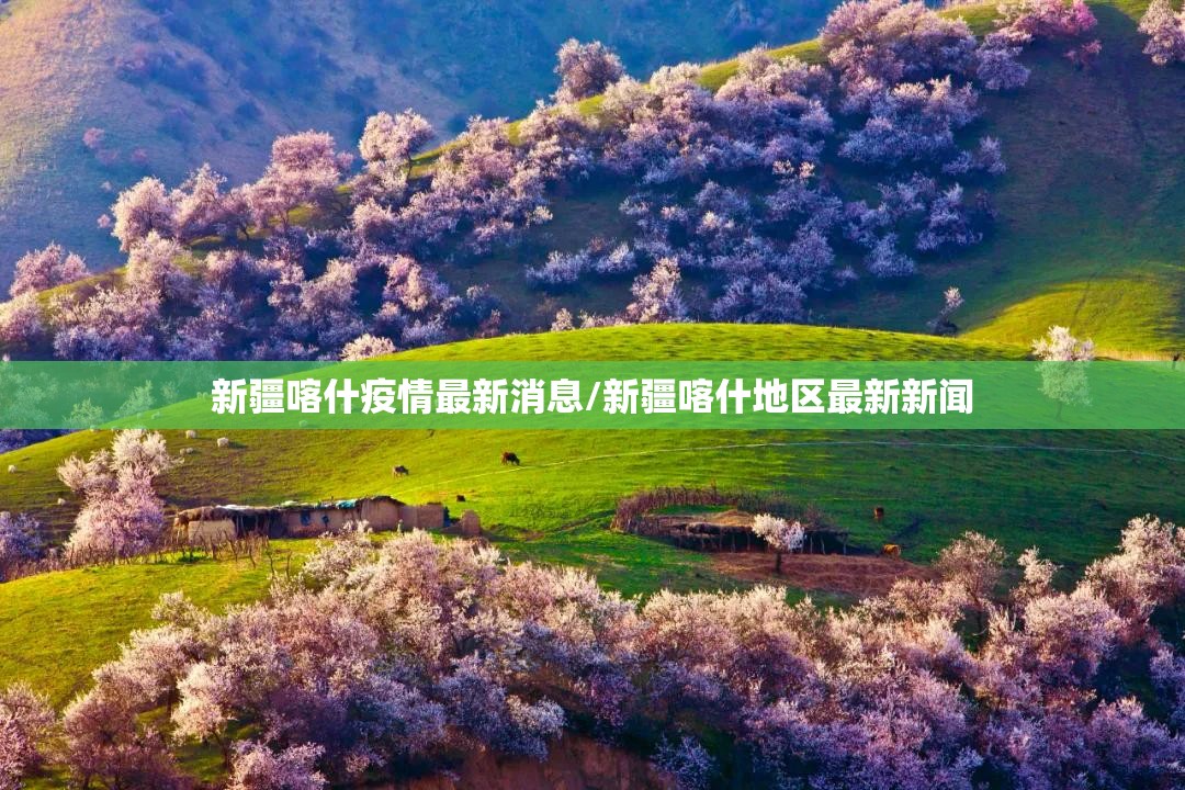 新疆喀什疫情最新消息/新疆喀什地区最新新闻