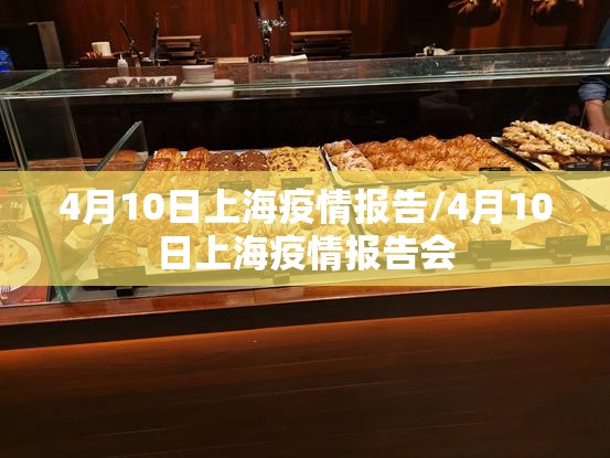 4月10日上海疫情报告/4月10日上海疫情报告会