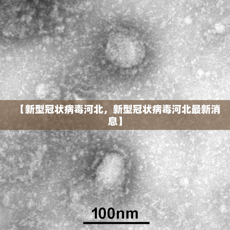 【新型冠状病毒河北，新型冠状病毒河北最新消息】