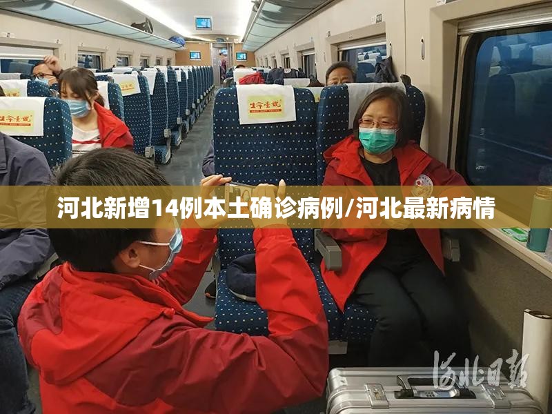 河北新增14例本土确诊病例/河北最新病情