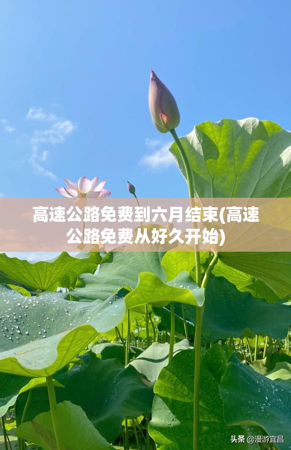 高速公路免费到六月结束(高速公路免费从好久开始)