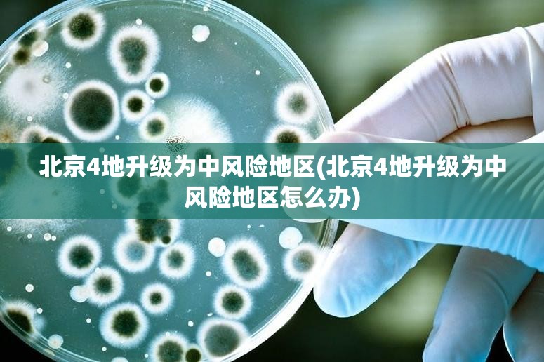 北京4地升级为中风险地区(北京4地升级为中风险地区怎么办)