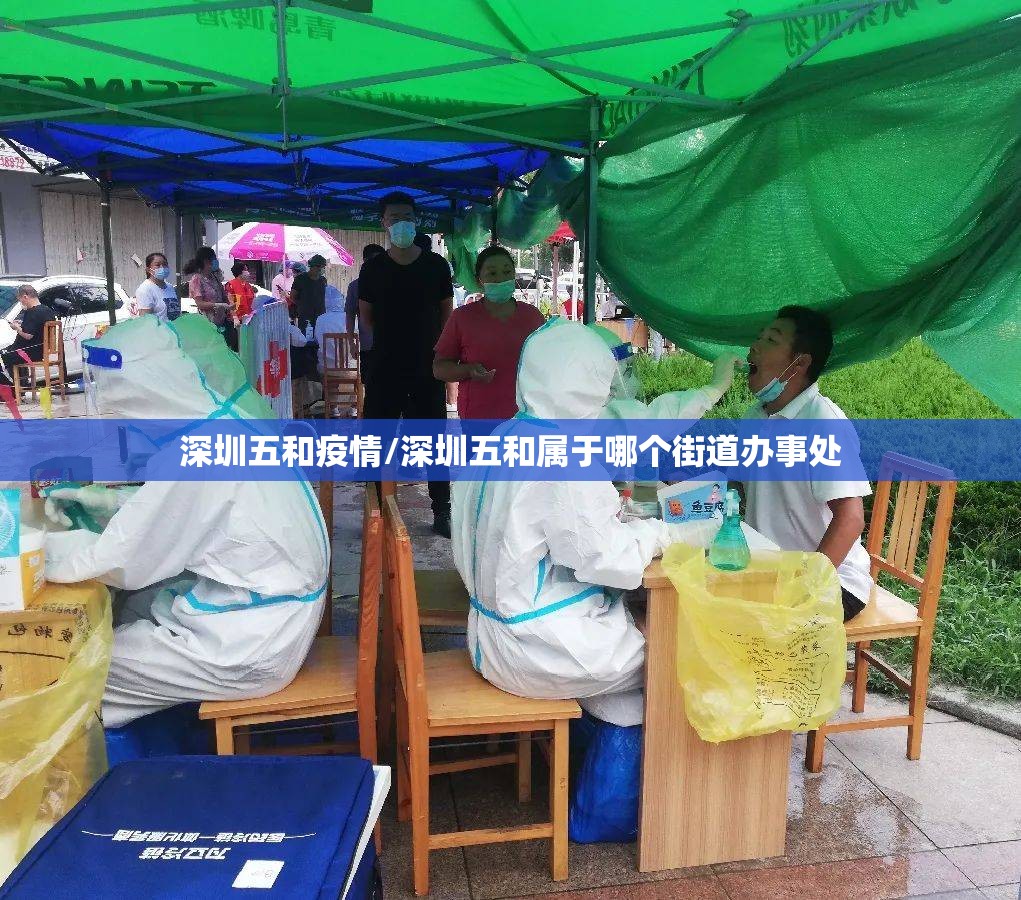 深圳五和疫情/深圳五和属于哪个街道办事处