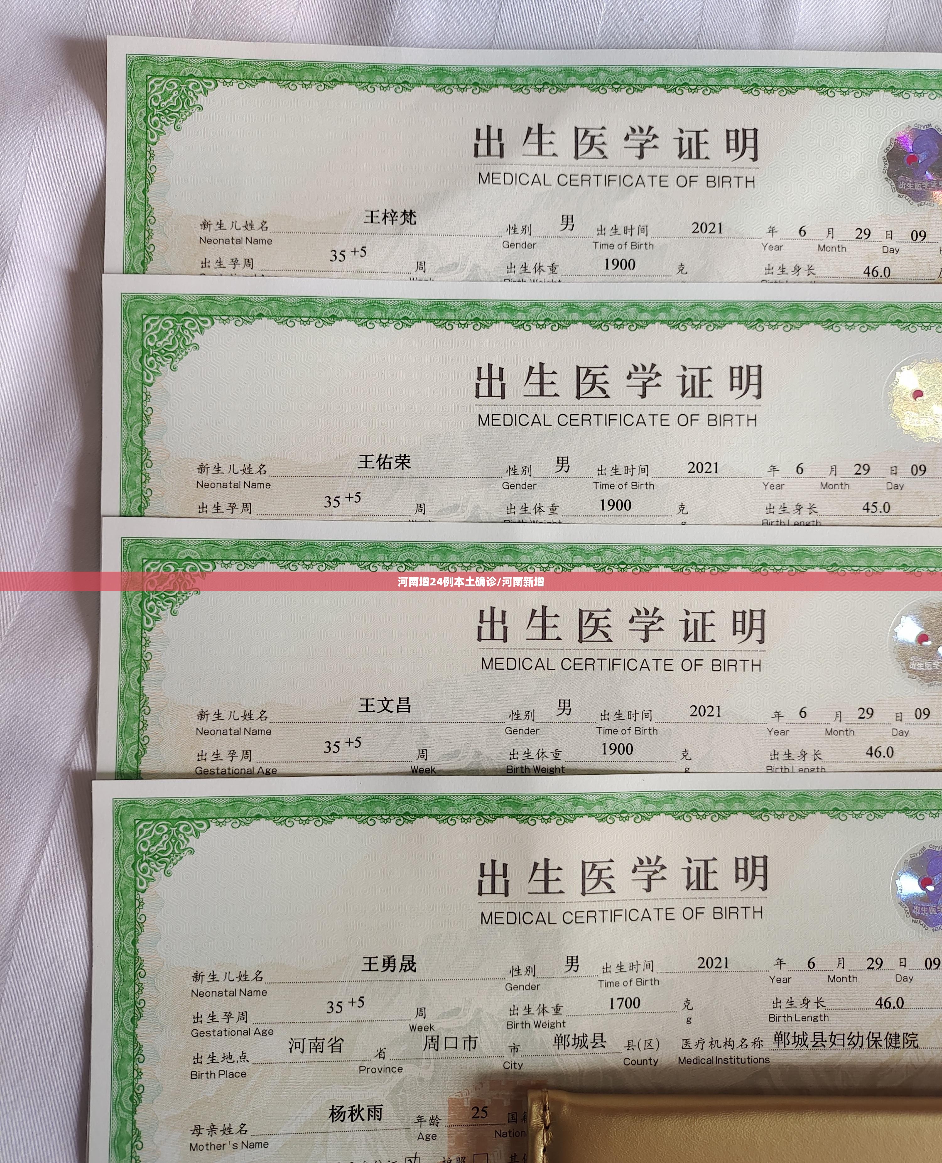 河南增24例本土确诊/河南新增