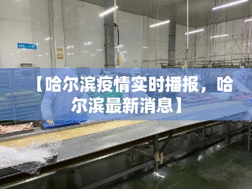 【哈尔滨疫情实时播报，哈尔滨最新消息】