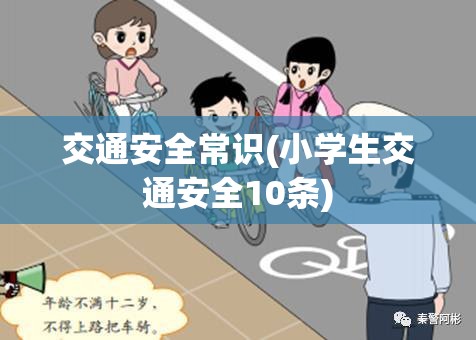 交通安全常识(小学生交通安全10条)