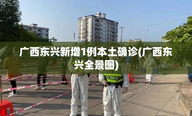 广西东兴新增1例本土确诊(广西东兴全景图)