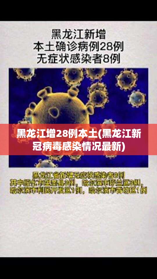 黑龙江增28例本土(黑龙江新冠病毒感染情况最新)
