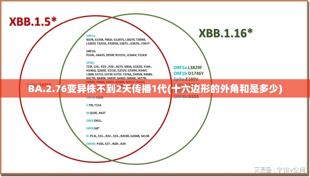 BA.2.76变异株不到2天传播1代(十六边形的外角和是多少)