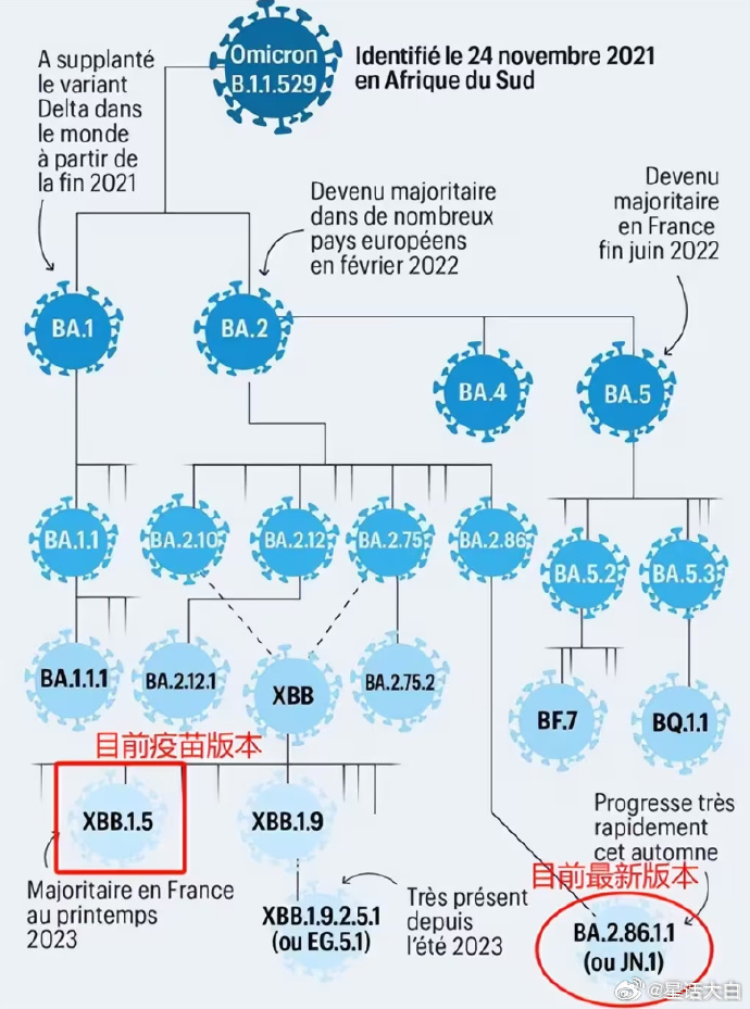 BA.2.76变异株不到2天传播1代(十六边形的外角和是多少)