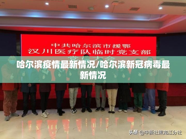 哈尔滨疫情最新情况/哈尔滨新冠病毒最新情况