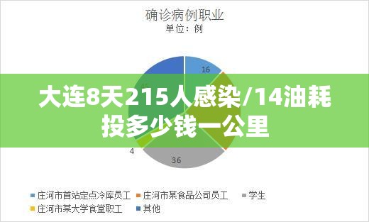 大连8天215人感染/14油耗投多少钱一公里