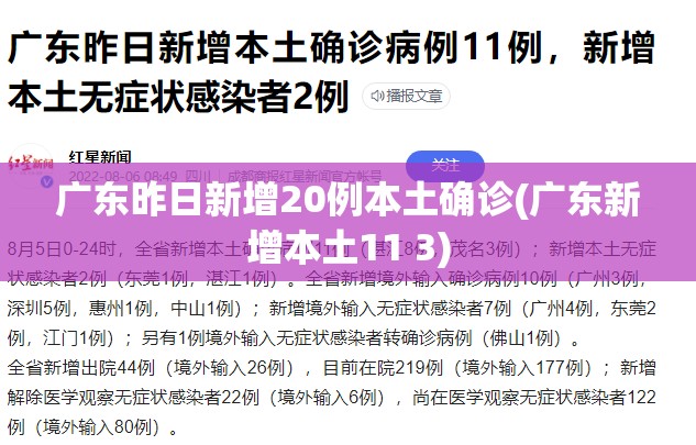 广东昨日新增20例本土确诊(广东新增本土11 3)