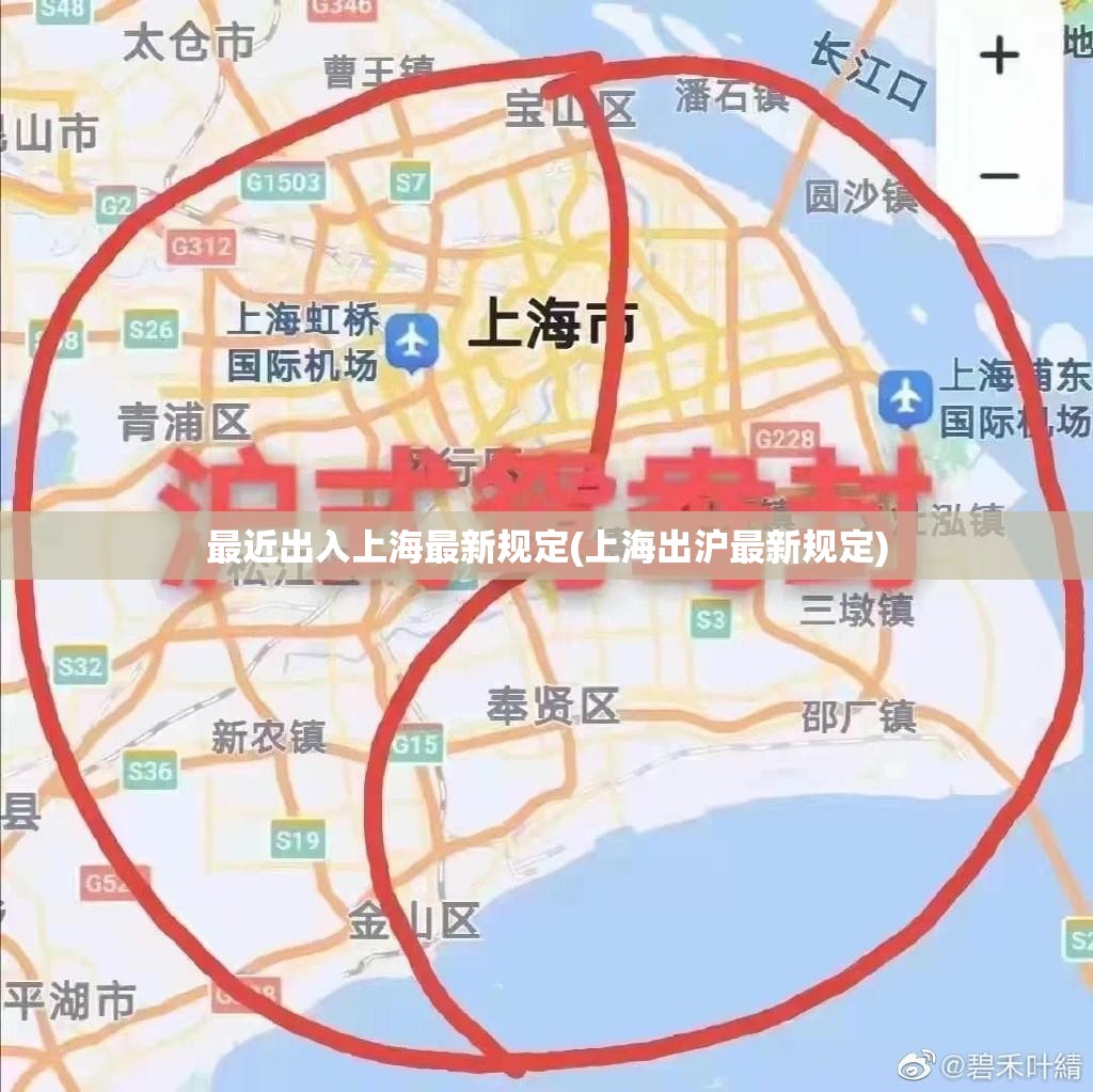最近出入上海最新规定(上海出沪最新规定)