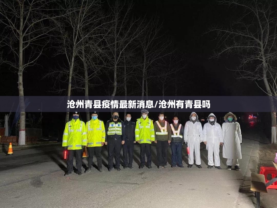 沧州青县疫情最新消息/沧州有青县吗