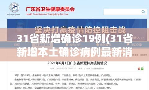 31省新增确诊19例(31省新增本土确诊病例最新消息)