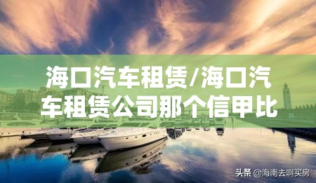 海口汽车租赁/海口汽车租赁公司那个信甲比高?