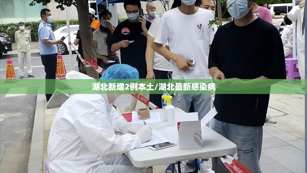 湖北新增2例本土/湖北最新感染病