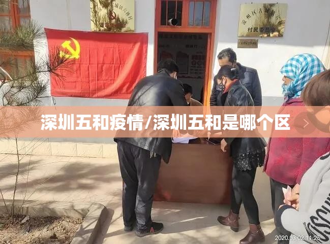 深圳五和疫情/深圳五和是哪个区