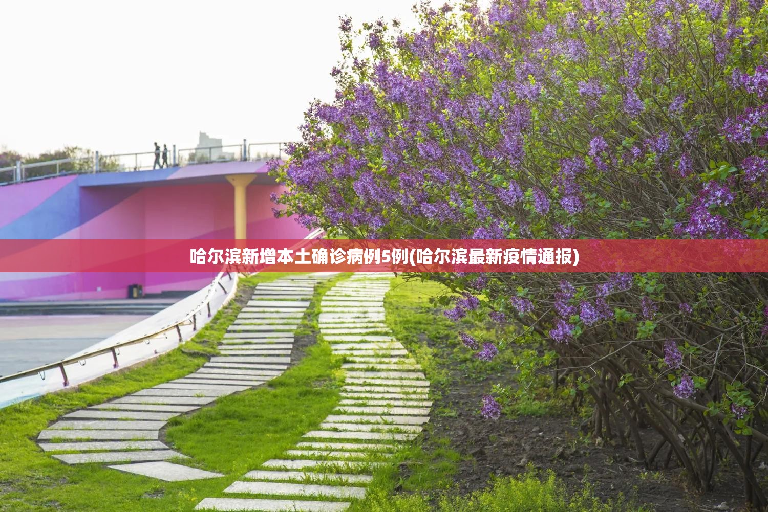 哈尔滨新增本土确诊病例5例(哈尔滨最新疫情通报)
