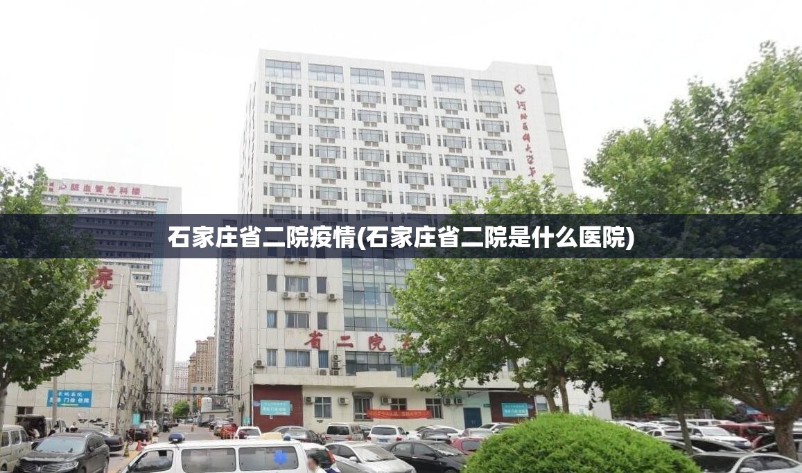 石家庄省二院疫情(石家庄省二院是什么医院)