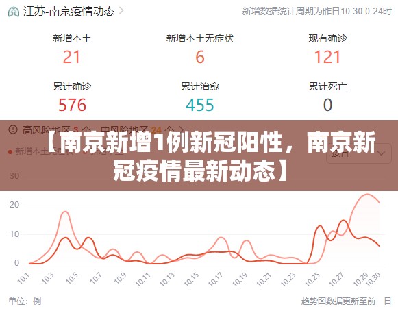 【南京新增1例新冠阳性，南京新冠疫情最新动态】