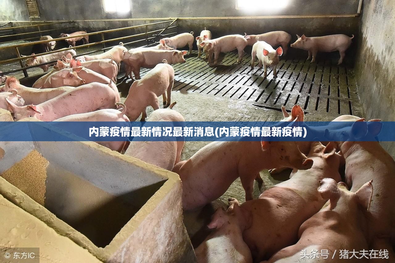 内蒙疫情最新情况最新消息(内蒙疫情最新疫情)