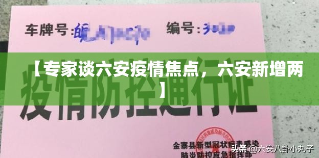 【专家谈六安疫情焦点，六安新增两】