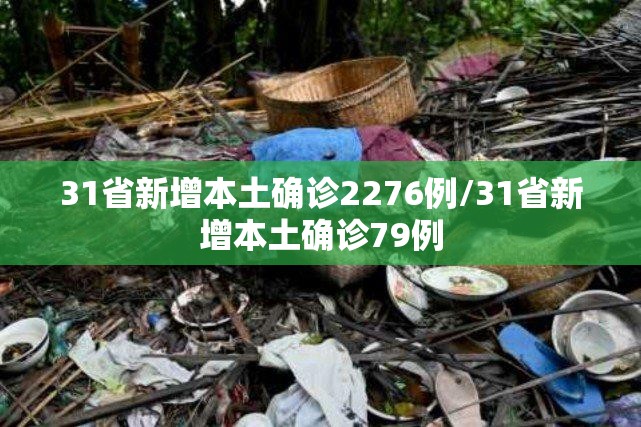 31省新增本土确诊2276例/31省新增本土确诊79例