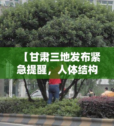 【甘肃三地发布紧急提醒，人体结构几何体速写】