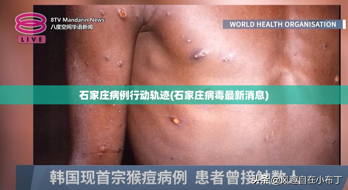 石家庄病例行动轨迹(石家庄病毒最新消息)