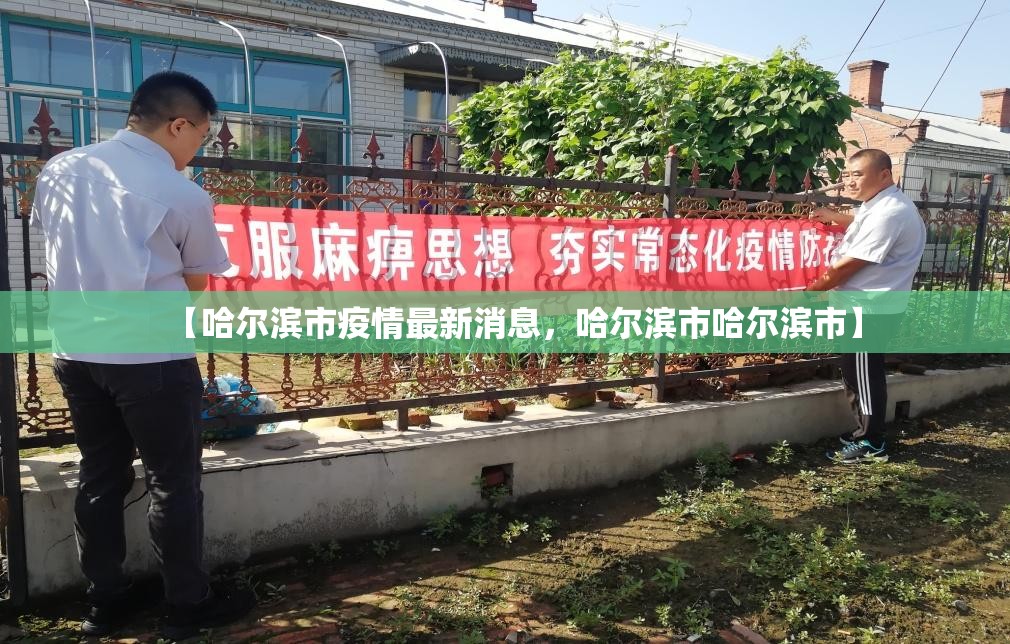 【哈尔滨市疫情最新消息，哈尔滨市哈尔滨市】