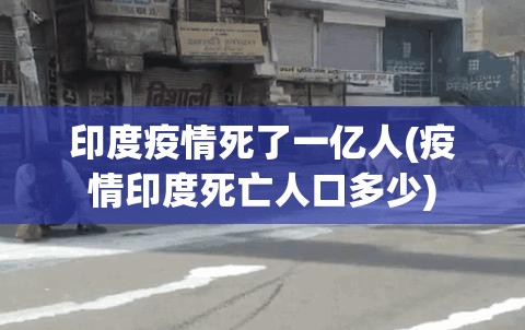 印度疫情死了一亿人(疫情印度死亡人口多少)