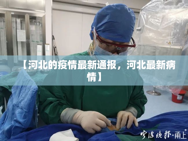 【河北的疫情最新通报，河北最新病情】