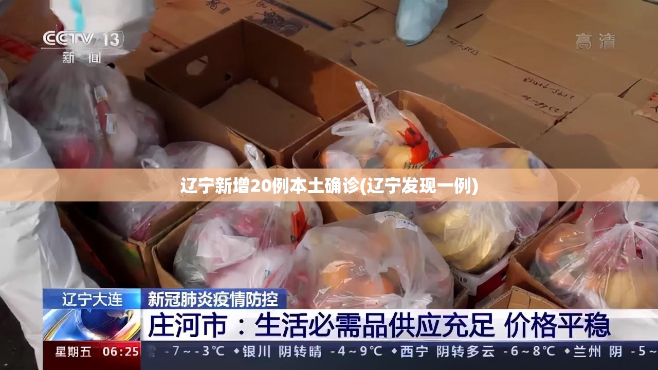 辽宁新增20例本土确诊(辽宁发现一例)