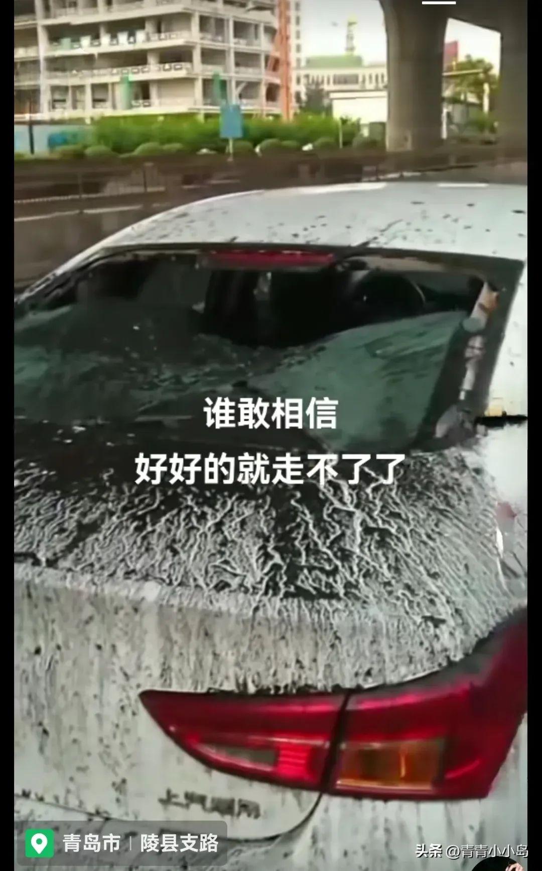 青岛新冠/青岛新冠高架路大客车能上吗