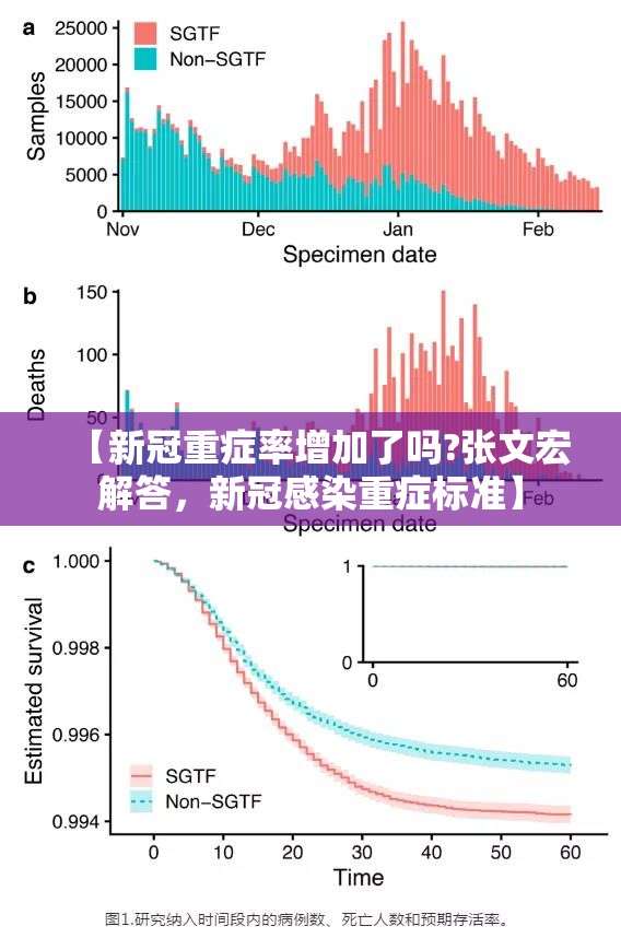 【新冠重症率增加了吗?张文宏解答，新冠感染重症标准】