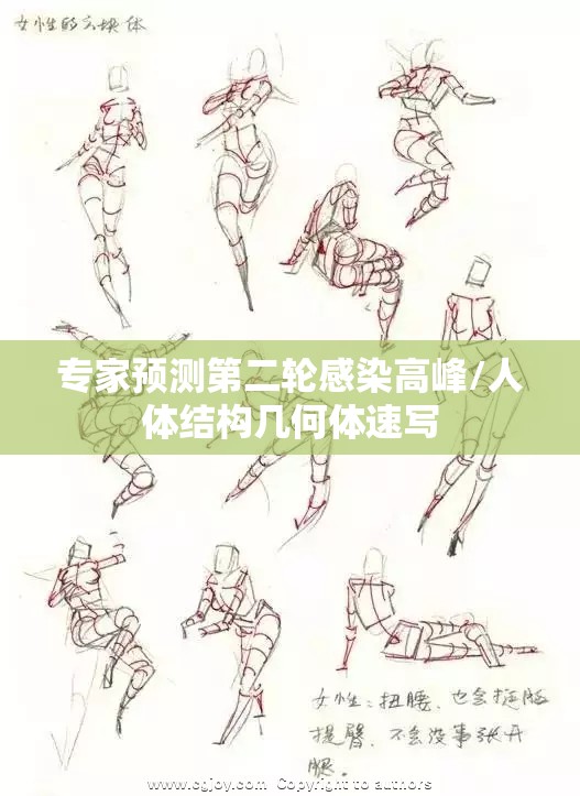 专家预测第二轮感染高峰/人体结构几何体速写
