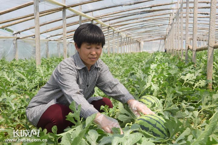 【河北隆尧疫情最新消息，电线为什么是两根】