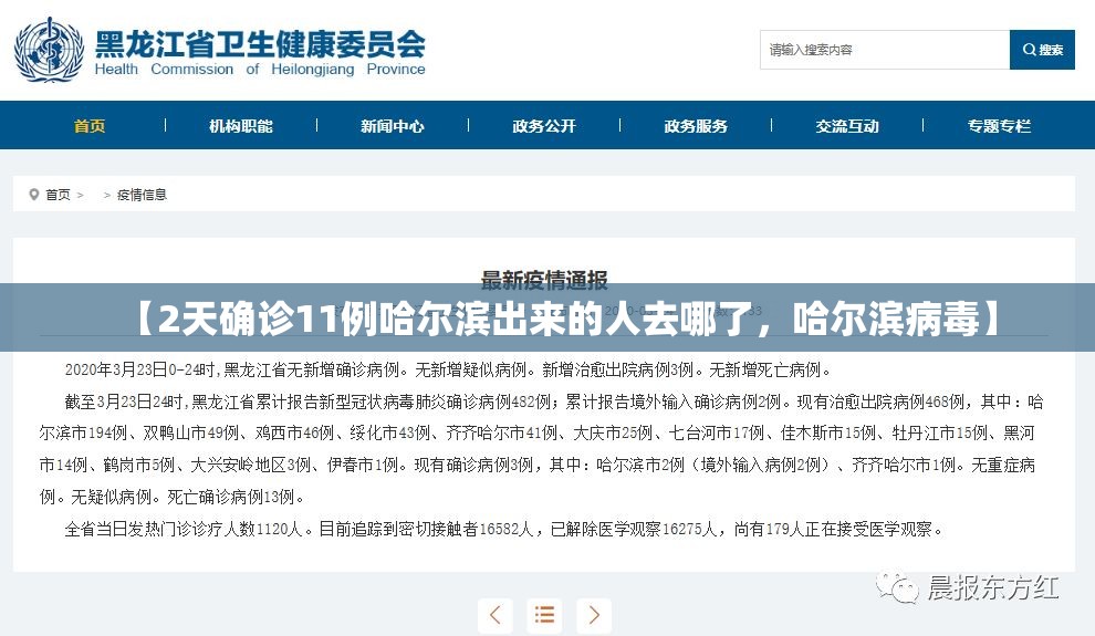 【2天确诊11例哈尔滨出来的人去哪了，哈尔滨病毒】