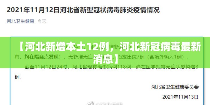 【河北新增本土12例，河北新冠病毒最新消息】