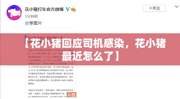 【花小猪回应司机感染，花小猪最近怎么了】