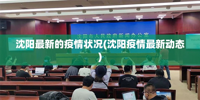 沈阳最新的疫情状况(沈阳疫情最新动态)