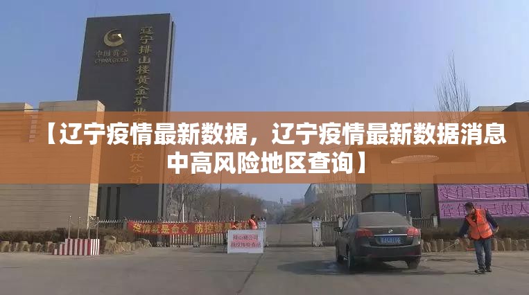 【辽宁疫情最新数据，辽宁疫情最新数据消息中高风险地区查询】