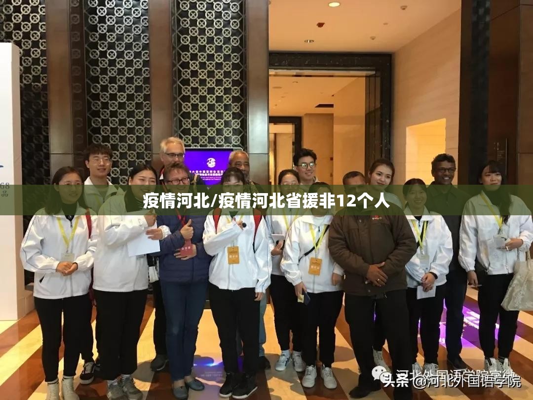疫情河北/疫情河北省援非12个人
