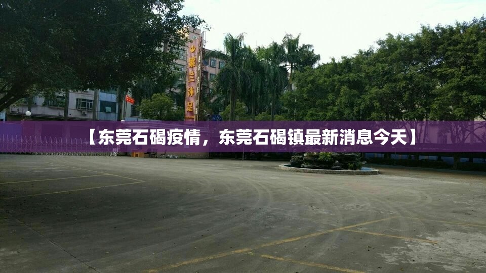 【东莞石碣疫情，东莞石碣镇最新消息今天】