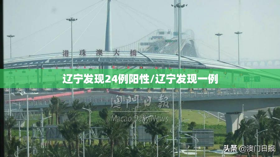 辽宁发现24例阳性/辽宁发现一例