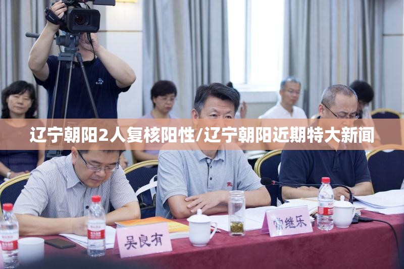 辽宁朝阳2人复核阳性/辽宁朝阳近期特大新闻